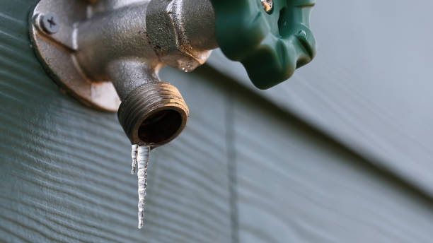 Best Local Plumber Services  in Cleary, MS